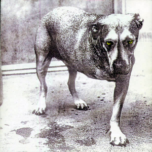 Alice In Chains (Columbia Records)