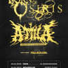 Concerts : Attila